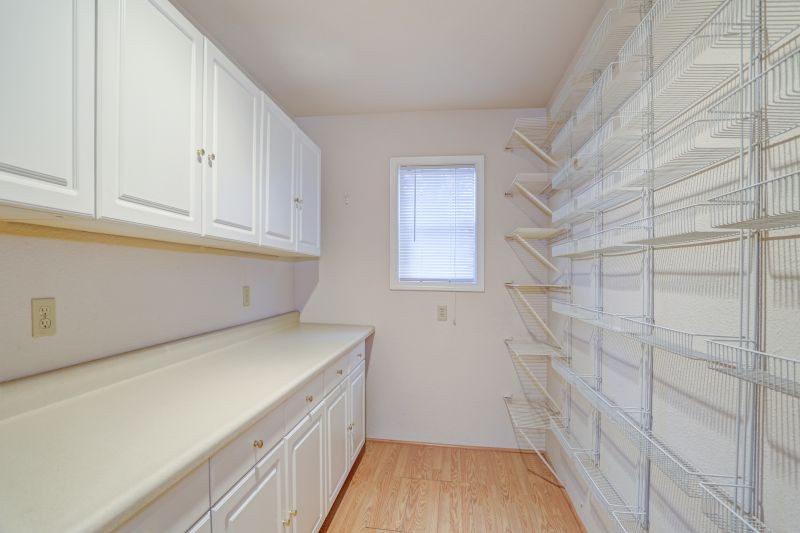 Custom Storage Cabinets