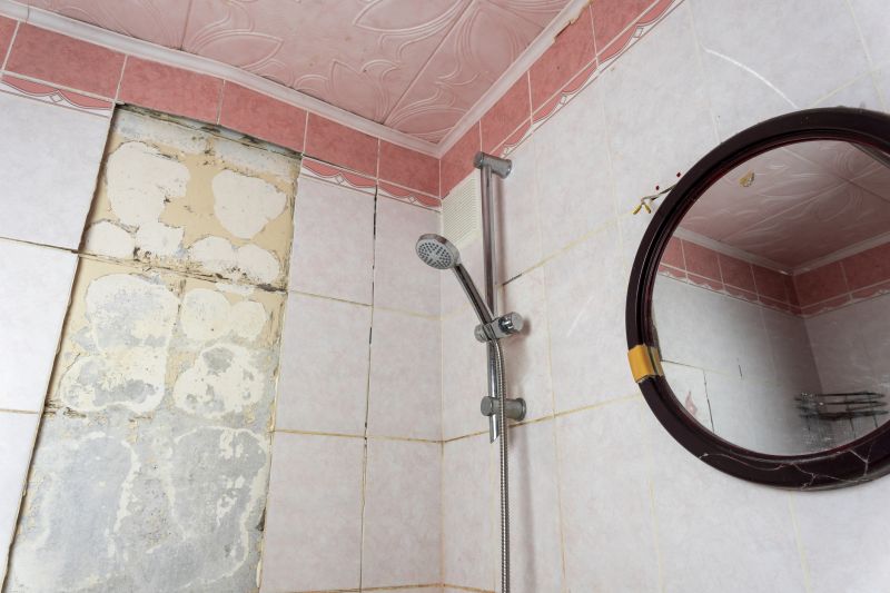 Shower Renovation
